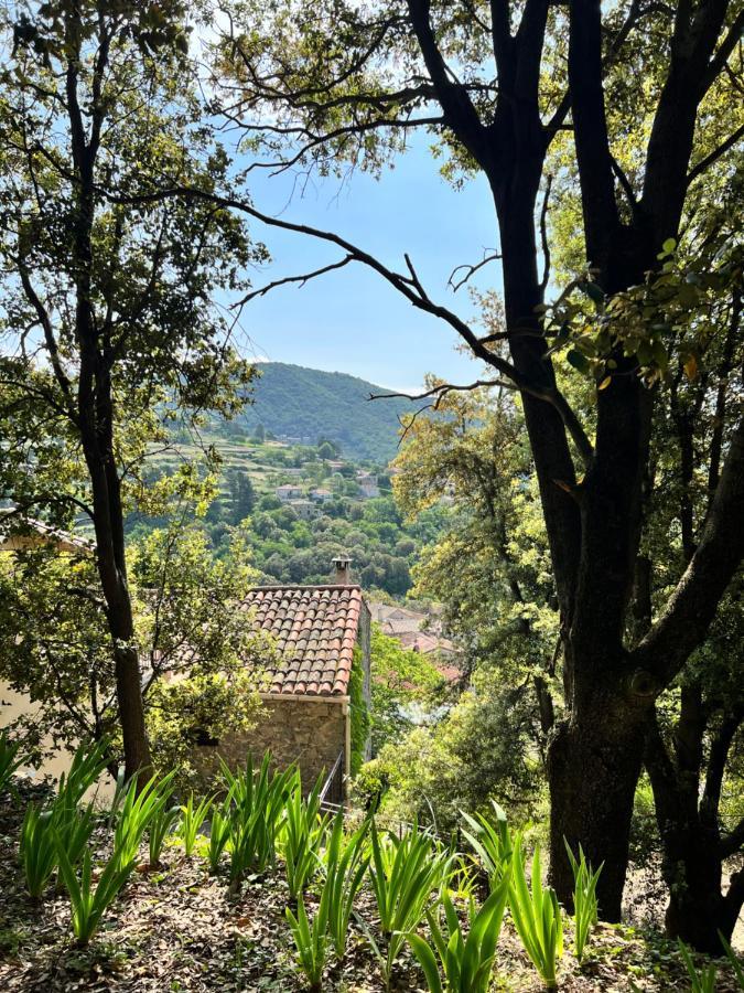 Les Gites D'Ardaillers Valleraugue Exterior foto