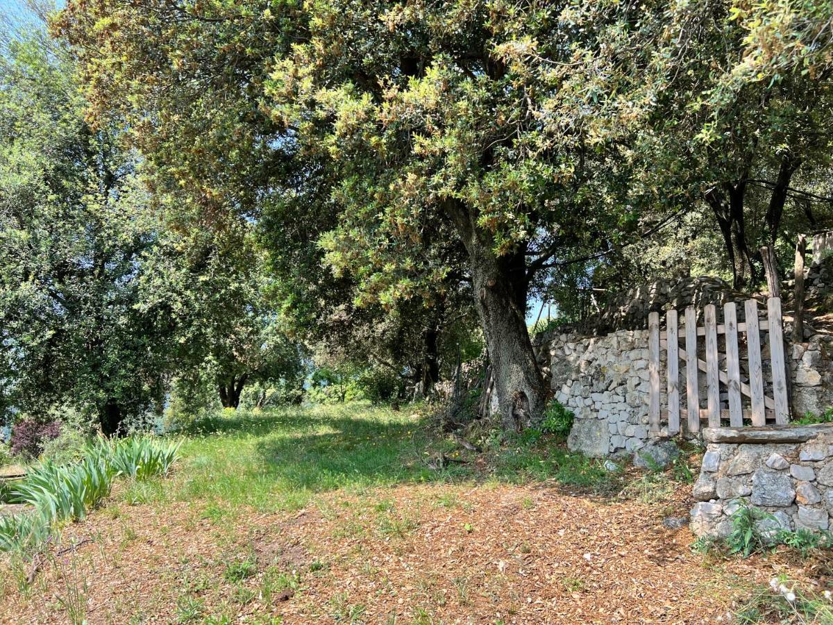 Les Gites D'Ardaillers Valleraugue Exterior foto